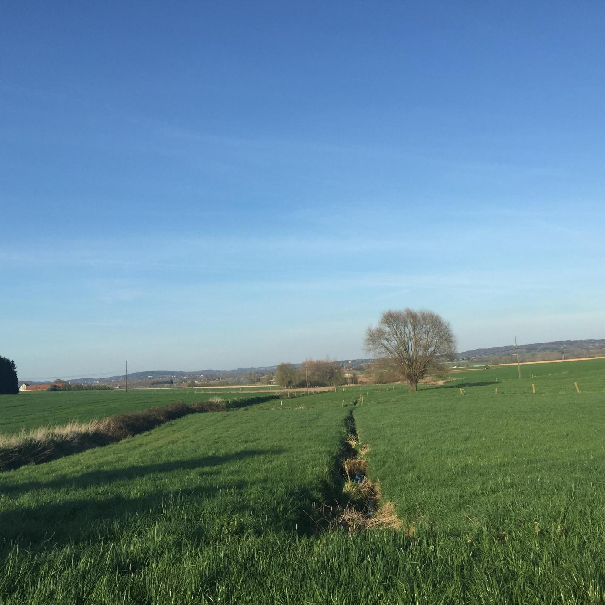 La Maison D'Arc Frasnes-lez-Anvaing Zewnętrze zdjęcie